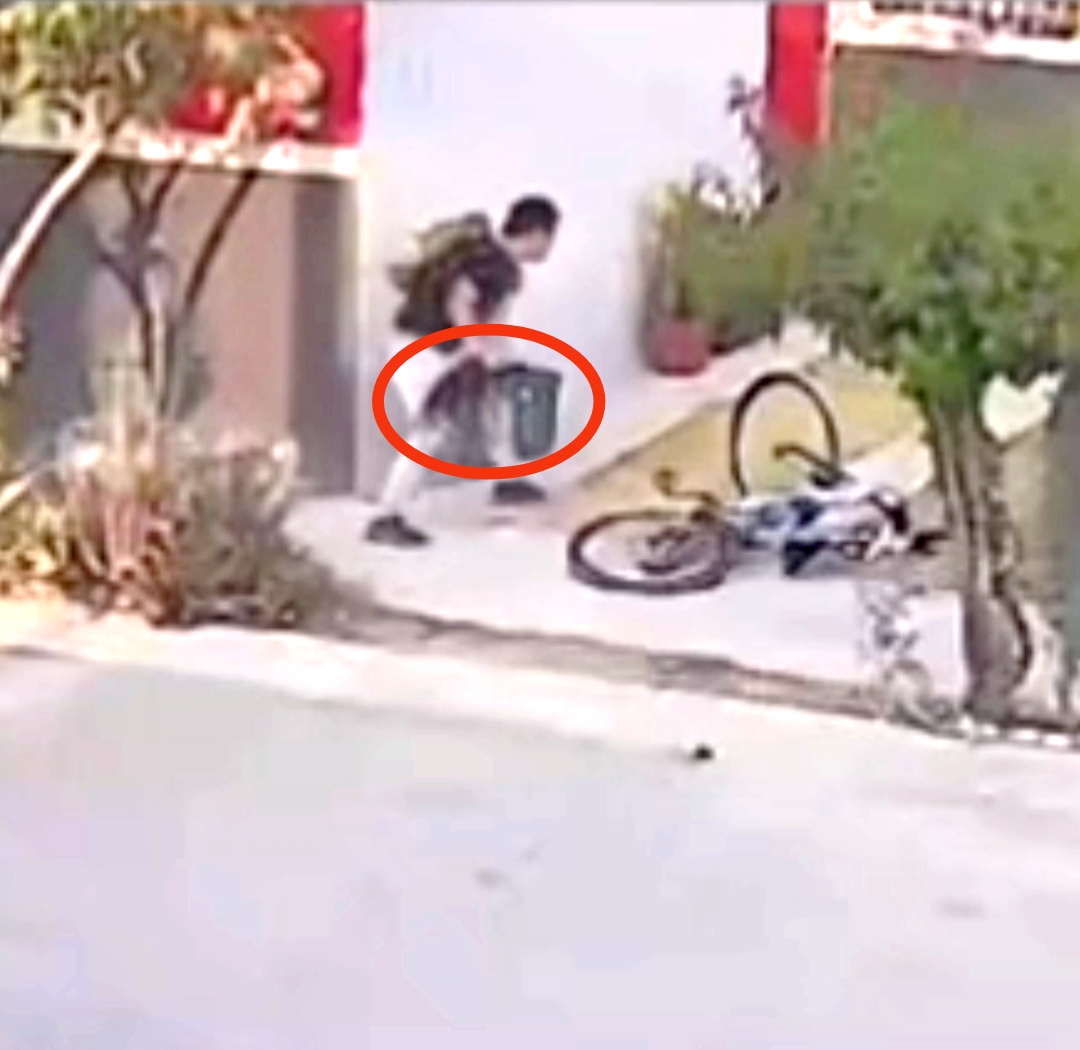 Indignación en Juárez: captan maltrato de perrito en Bosques de San Roque